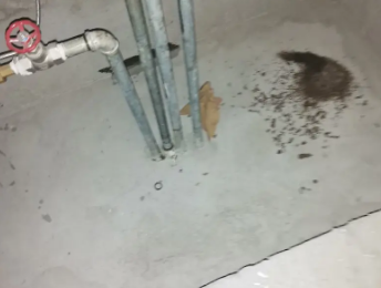 深泽卫生间测漏水价格明细